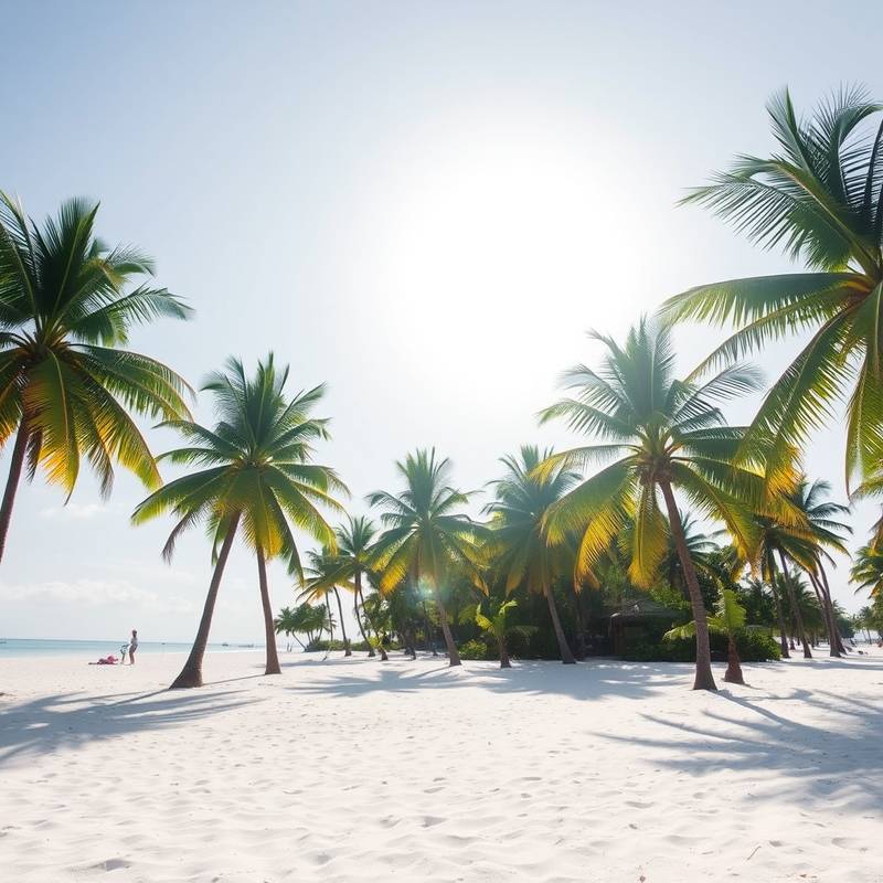 White sand beach with palm trees, Maldives